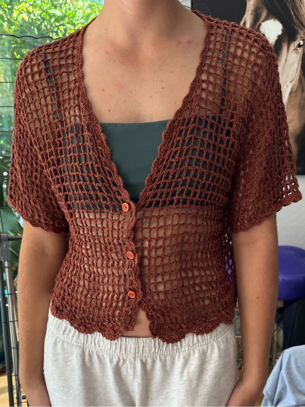 Cute Cropped Brown Open Crochet Short-Sleeve Button Front Top